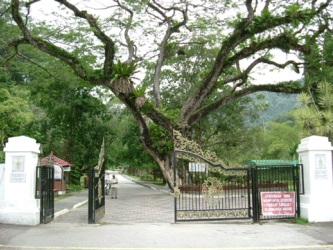 Botanical Gardens