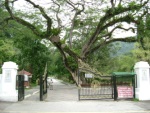 Botanical Gardens